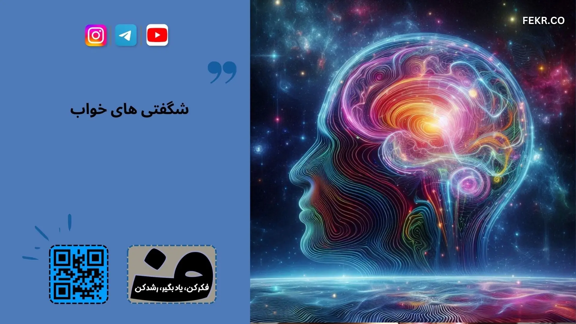 نقش مغز در خواب