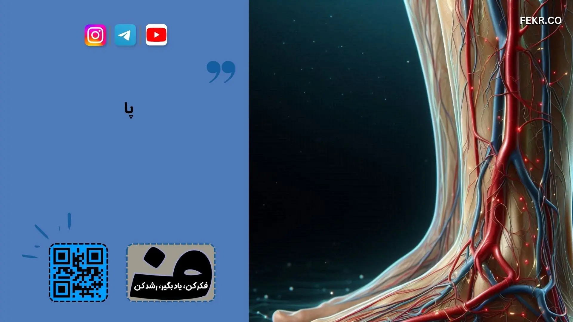 نقص عروقی پا