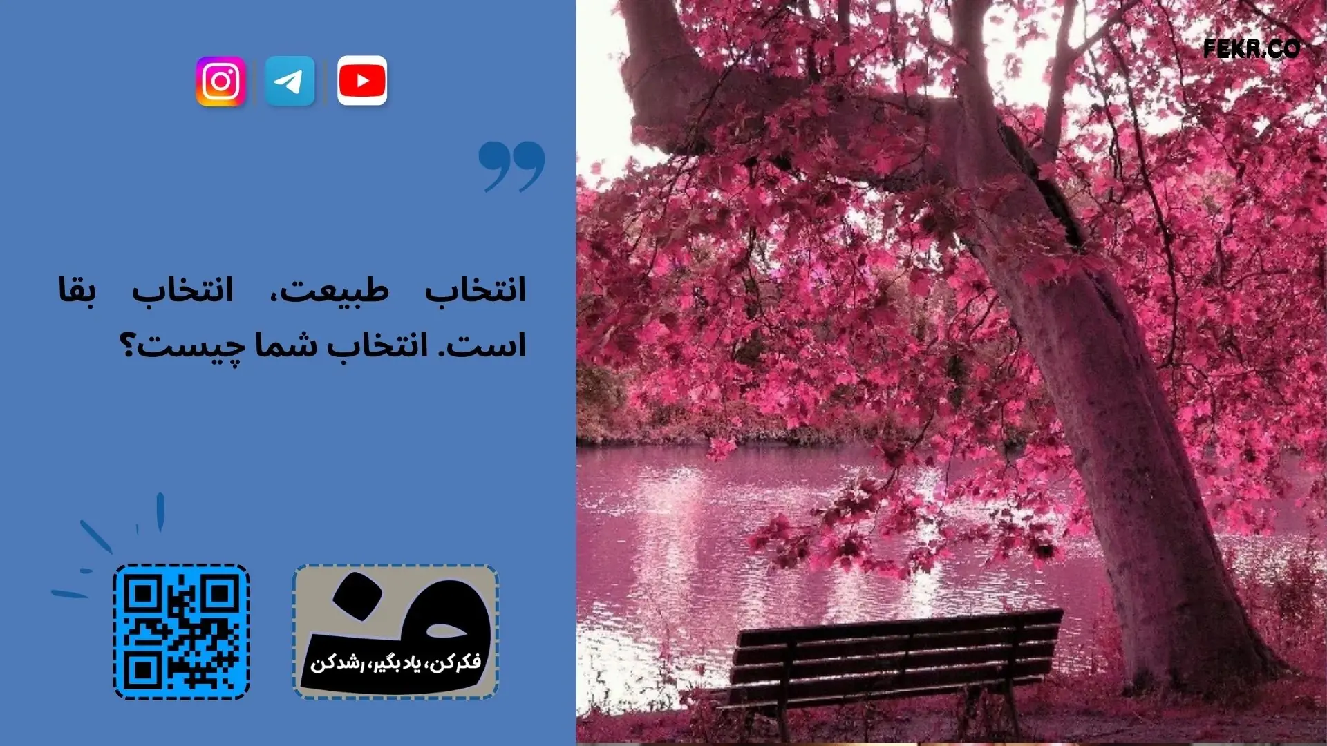دلایلی زیستی و تکاملی دشنام